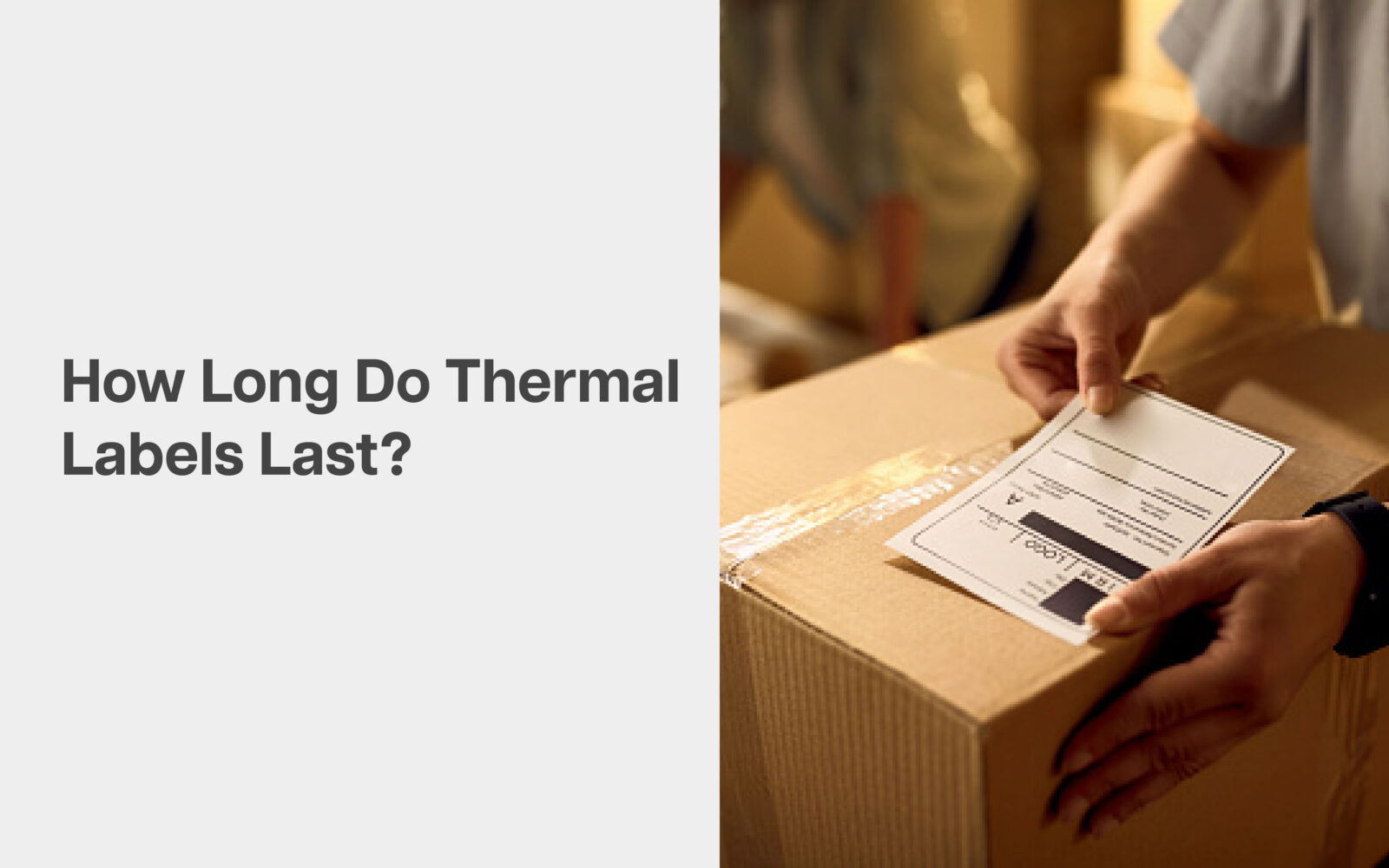 How Long Do Thermal Labels Last?